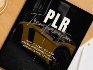 Transform PLR into Profitable and Unique Digital Products